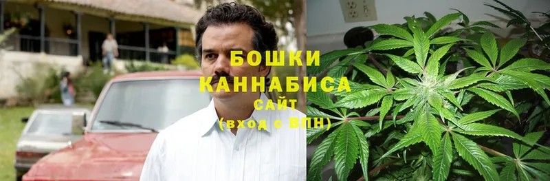 Каннабис White Widow  Дмитриев 